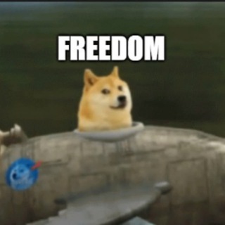 Freedom 🚀