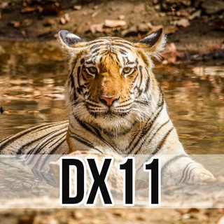  DX11 Likes Only - IG Boosting 