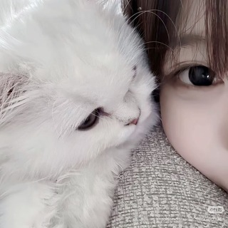 高雄台南三民左營中西區妹妹名單
